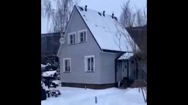 Как отреагировали поклонники на коттеджи которые построил Плющенко для Косторной Трусовой Липницкой смотреть онлайн