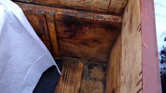 ЛЕЖАК зимовка, сборка гнезда в зиму. смотреть онлайн