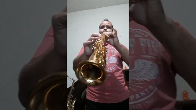Spending My Time (Roxette) - Sax Soprano смотреть онлайн