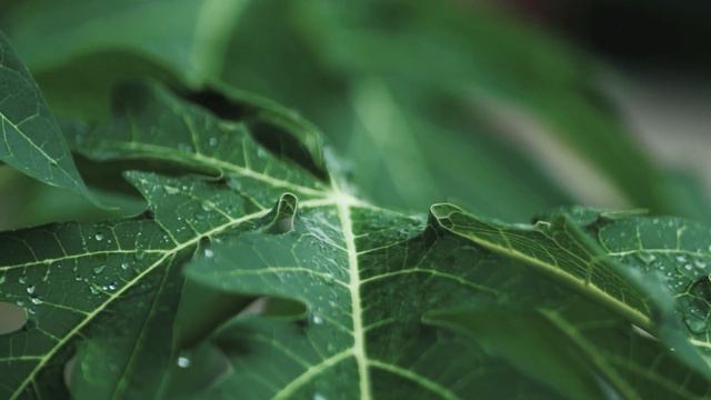 Power Nap Guided Meditation To Beat The Midday Slump 😴 Best nap meditation (female voice) смотреть онлайн