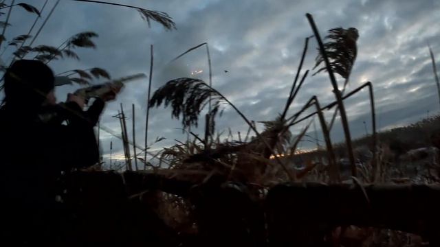 BEST SHOOTING EVER- Washington State Duck Hunt смотреть онлайн