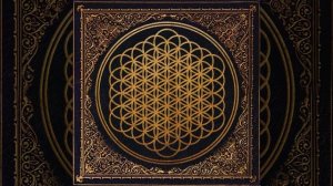 Can You Feel My Heart