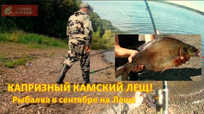 КАПРИЗНЫЙ КАМСКИЙ ЛЕЩ. ( Рыбалка в сентябре на Леща ) смотреть онлайн