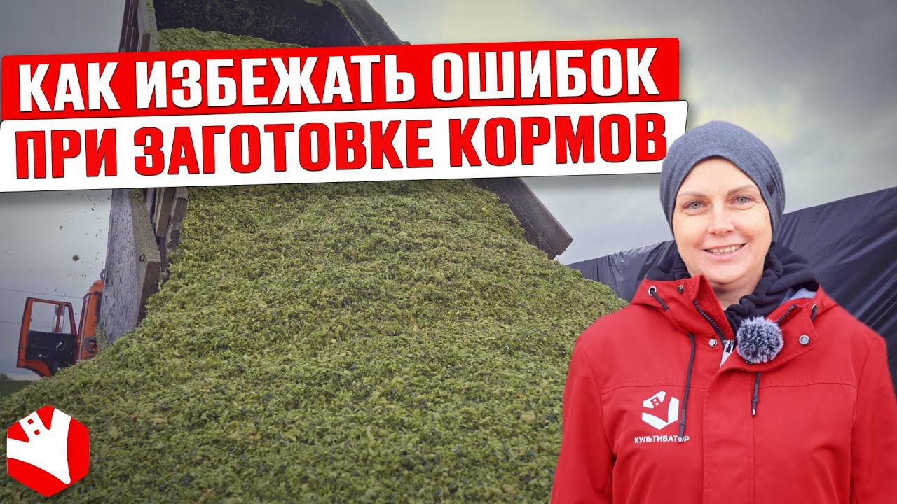 Как избежать ошибок при заготовке кормов? | Траншейный метод заготовки корма | Кормозаготовка смотреть онлайн