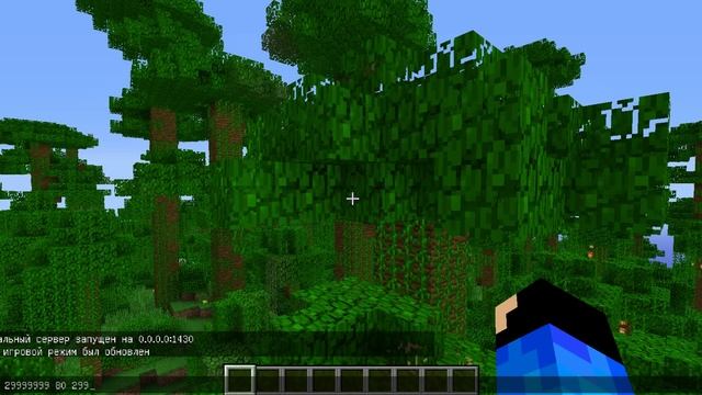 Майнкрафт конец карты существует смотреть онлайн