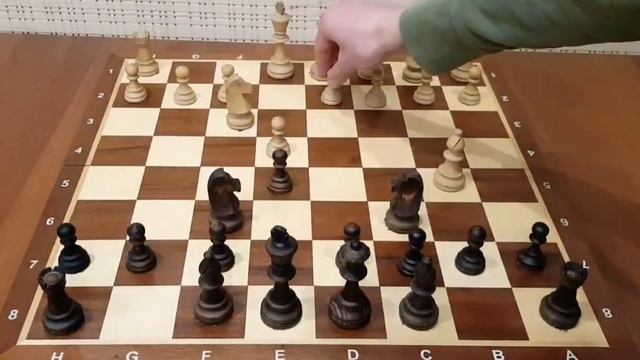 Эту ошибку допускают 99% любителей! Шахматы ошибки новичков. Шахматы ловушки в дебюте смотреть онлайн
