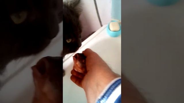 Чистим леща для пирога... смотреть онлайн