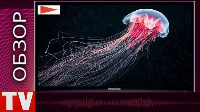 ОБЗОР ТОП 10 АНОМАЛЬНО БОЛЬШИХ ЖИВОТНЫХ смотреть онлайн