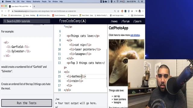 Doing the HTML section of FreeCodeCamp with commentary to help you! смотреть онлайн