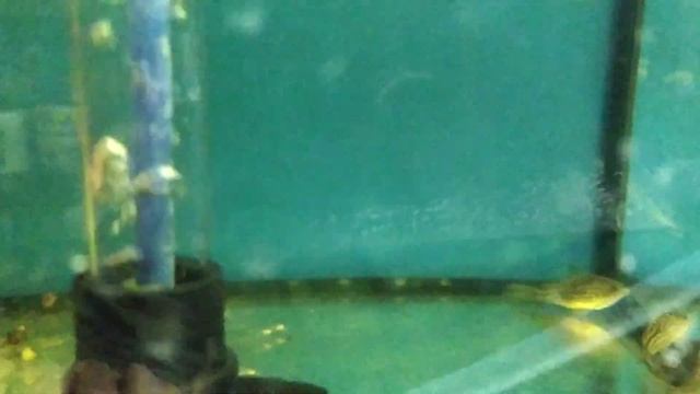 Бизнес или хобби в гараже смотреть онлайн