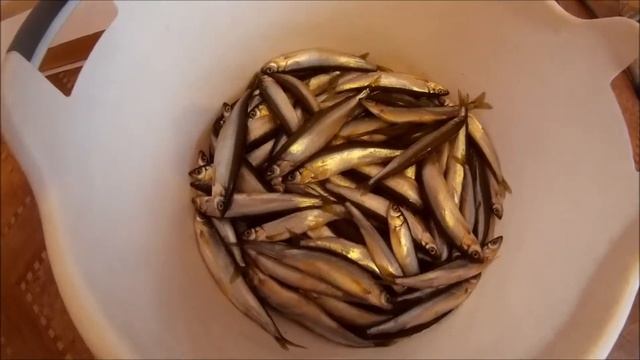 Вяленая корюшка. Засолка и вяление дальневосточной корюшки в домашних условиях. смотреть онлайн