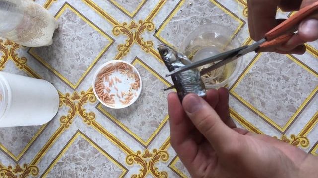 КАК ВЫРАСТИТЬ ОПАРЫША для рыбалки быстро в домашних условиях. смотреть онлайн