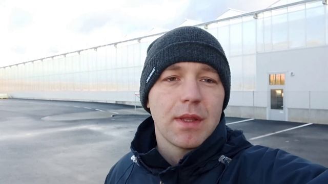 Работа в Норвегии! Что важно знать перед отъездом? смотреть онлайн