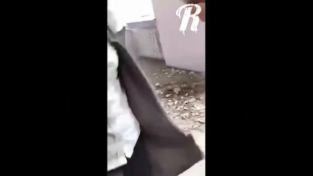 В севастопольской школе №3 после шторма обвалился потолок смотреть онлайн
