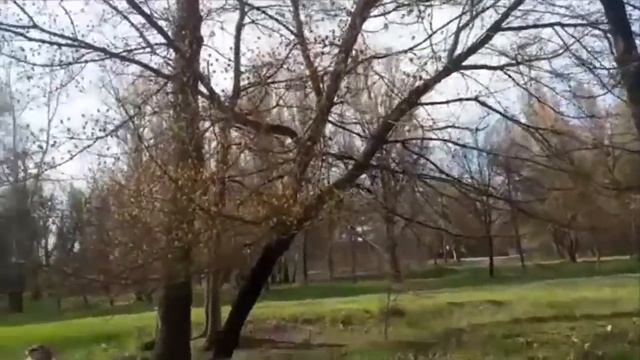 Откровение о духовной пище, которая приводит к отравлению духа христианина смотреть онлайн