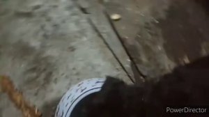 Как и чем кормить 1.5 месячного щенка.ПРОЦЕСС кормления щенка.