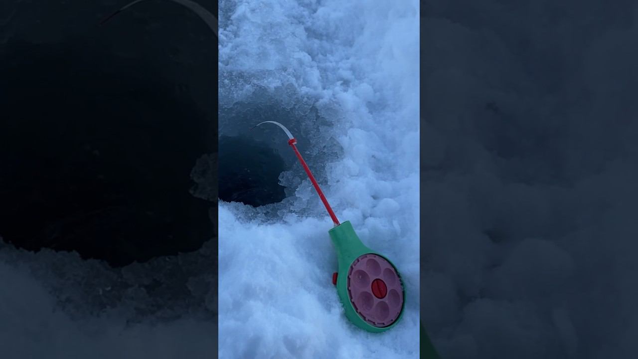 Удочка телефон крупная густера #рыбалкакстово #первыйлёд #плотва #зимняяудочка #густера смотреть онлайн