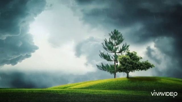 Сюи Минтан Китайская Лечебная Музыка Для Души смотреть онлайн