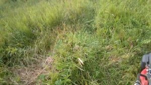 Газонокосилка или Триммер?!Газонокосилка МТД, которой уже 8 лет, как она работает?Возможен Баттл