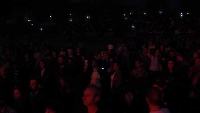 Saban Saulic - Koncert U Hadzidimovu (LIVE)