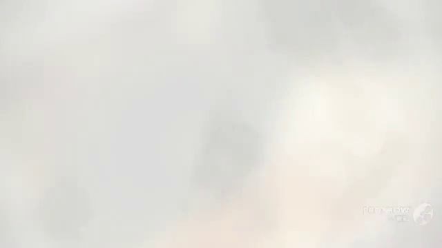 Copelandia - fungi kingdom смотреть онлайн