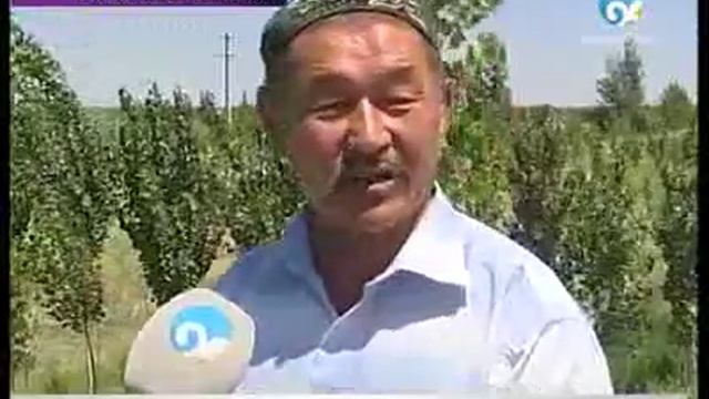 Как ГЕРОЙ-аксакал посадил 5000 тополей !!! смотреть онлайн