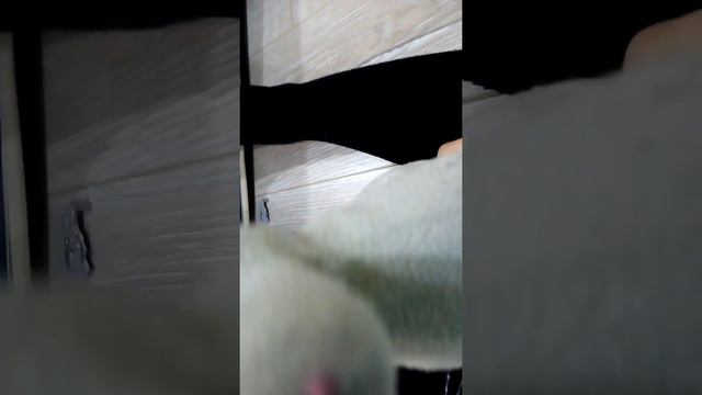 Глазастик и дом Анюты Анюты смотреть онлайн