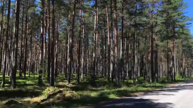 Велошенген 2018 Нарва-Лахемаа-Таллинн с песиком июль 2018 смотреть онлайн