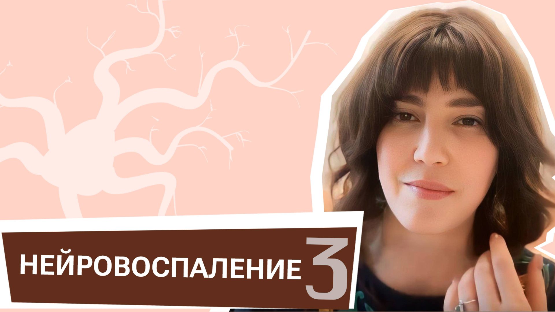 Нейровоспаление 3