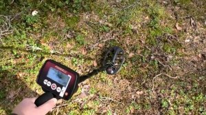 Fisher F11 - 11" DD: обзор и тест металлоискателя