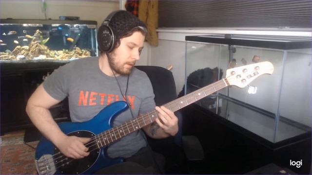 Primus - Shake hands with beef Bass Cover смотреть онлайн