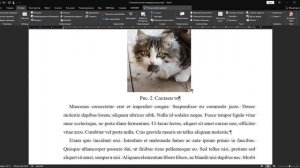 2.1. Вставка обновляемых ссылок на рисунки в текст Word. Способ первый