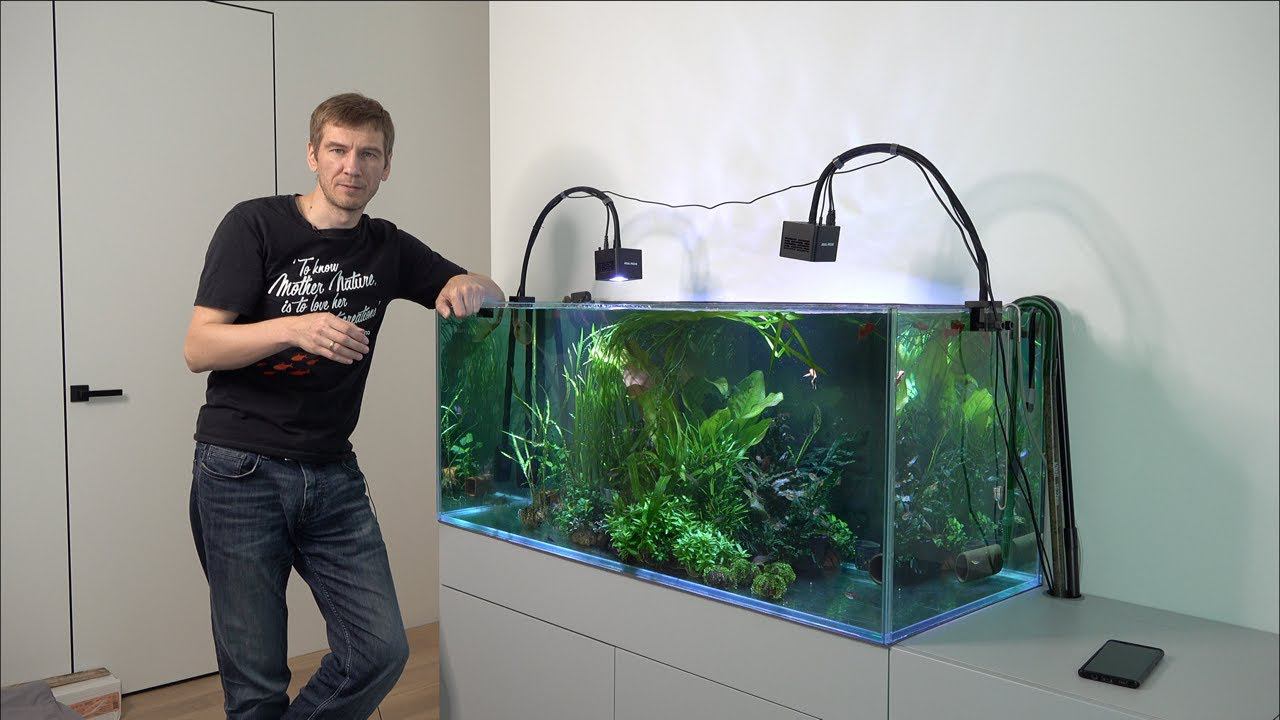 Как я обслуживаю свой травник смотреть онлайн