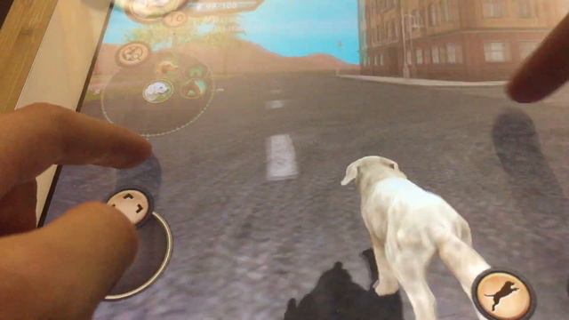 У лабрадоров родился...ДАЛМАТИНЕЦ! 🐶 смотреть онлайн