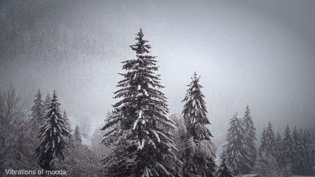 Новогодняя музыка на вечер New Year's music смотреть онлайн