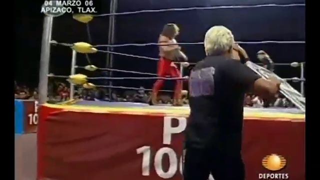 El Intocable Vs Alan Stone (Bull Terrier Match/Imagen Vs Imagen)
