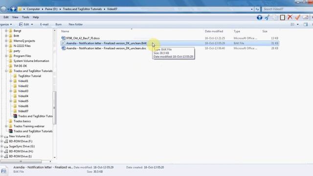 Translator's Workbench Cleanup errors in Trados смотреть онлайн