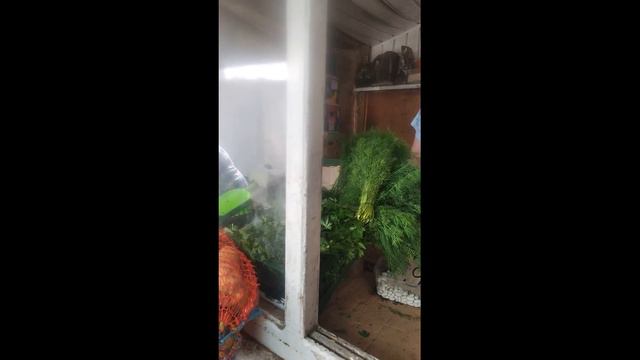ОБСТАНОВКА В ЗАПОРОЖЬЕ 3.08.22 КОШМАР ДОРОГА ЖИЗНИ ЧЕРЕЗ КАМЕНСКОЕ НА ЗАПОРОЖЬЕ ЗАКРЫТА смотреть онлайн
