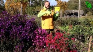 ЗАСТАВИМ ТРИХОДЕРМУ РАБОТАТЬ И ЗИМОЙ! При какой температуре работает триходерма? Триходерма на зиму