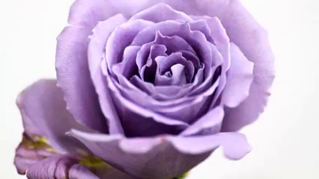 Новая русская новинка и фото 2015 года смотреть онлайн