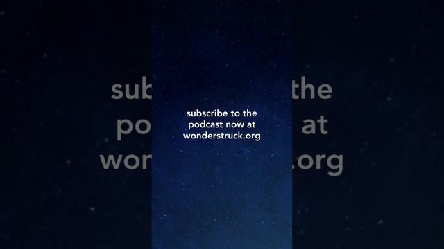 Book Recommendation: Rainbow Body & Resurrection by Father Francis Tiso смотреть онлайн