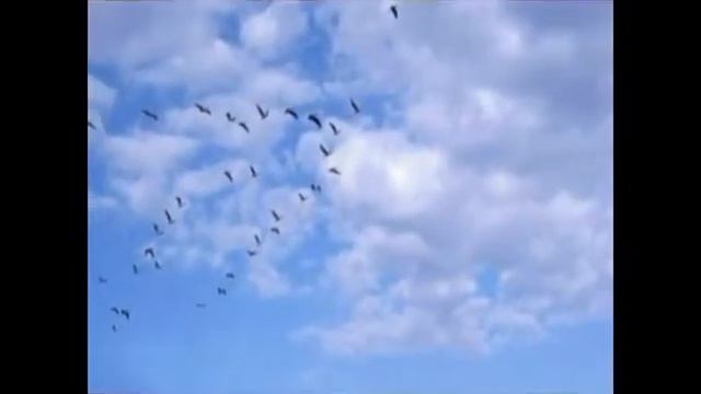 Журавли в небесах 06 смотреть онлайн