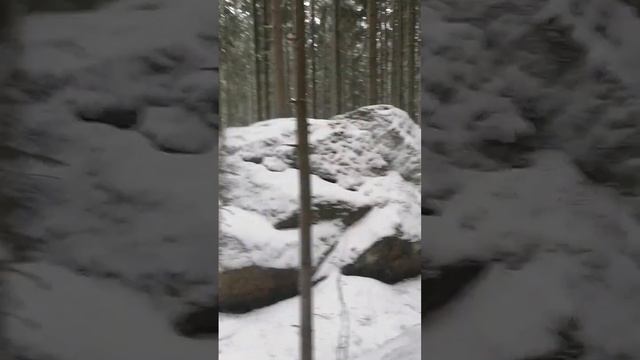 Поход в магазин за продуктами. Через лес смотреть онлайн