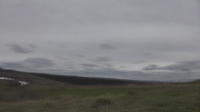 тетерев смотреть онлайн