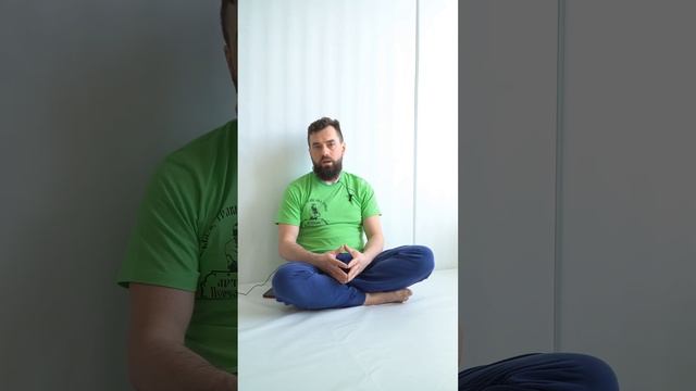 как помогает ежовик гребенчатый.#ежовик смотреть онлайн