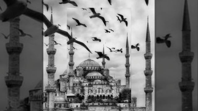 Gürkan Uygun Bu şehir Girdap Gülüm