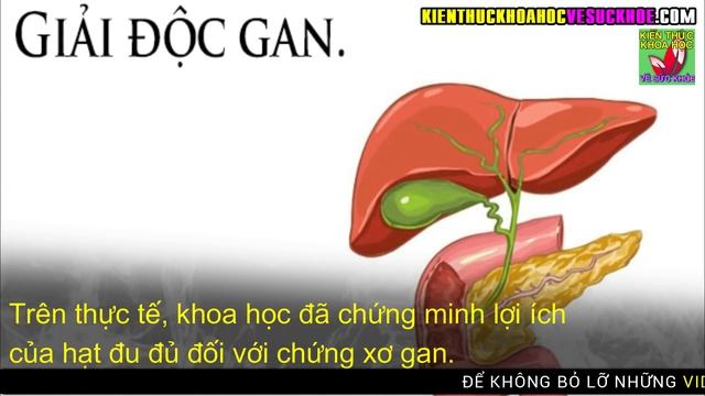 ĂN ĐU ĐỦ ĐỪNG BAO GIỜ VỨT HẠT MÀ HÃY SỬ DỤNG THEO CÁCH NÀY ĐỂ CHỮA BỆNH смотреть онлайн