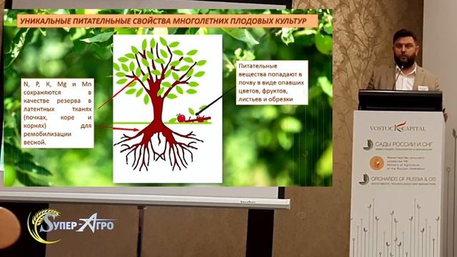 Особенности питания садов интенсивного типа смотреть онлайн