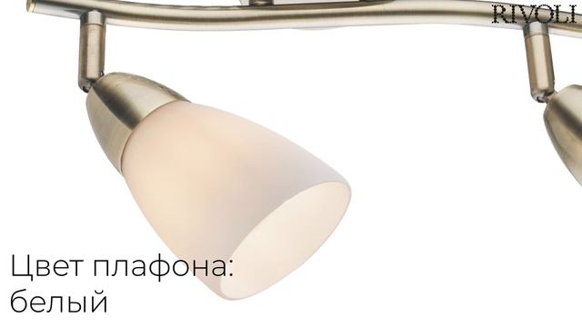 Светильник настенно-потолочный спот Rivoli Ember 7055-702 2 х Е14 40 Вт поворотный смотреть онлайн