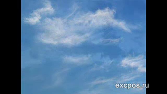 Александр Чувардин Кони смотреть онлайн